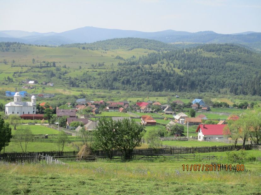  - Poze noi 2018 Tapul Petre la monta plante medicinale peisaje frumoase