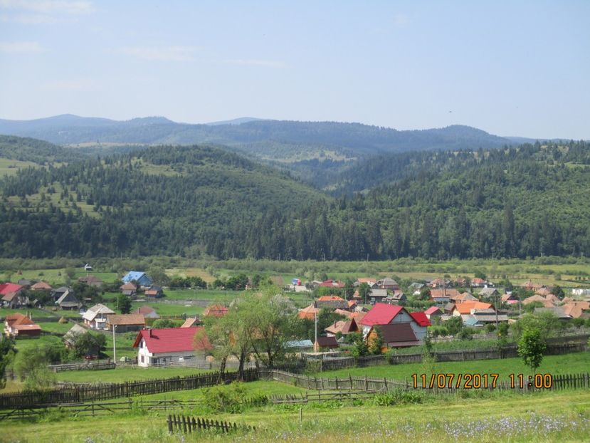  - Poze noi 2018 Tapul Petre la monta plante medicinale peisaje frumoase