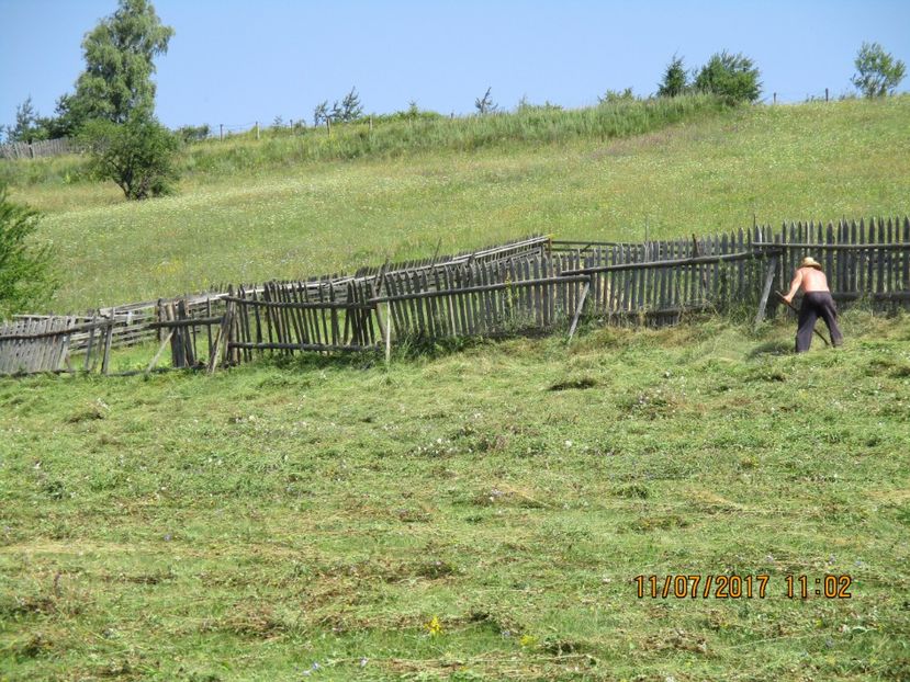  - Poze noi 2018 Tapul Petre la monta plante medicinale peisaje frumoase