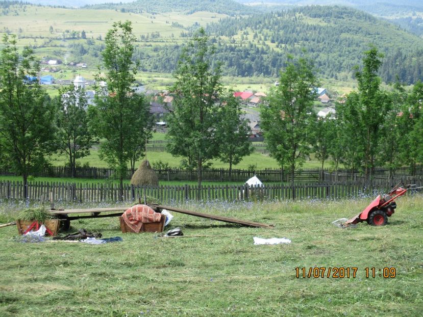  - Poze noi 2018 Tapul Petre la monta plante medicinale peisaje frumoase