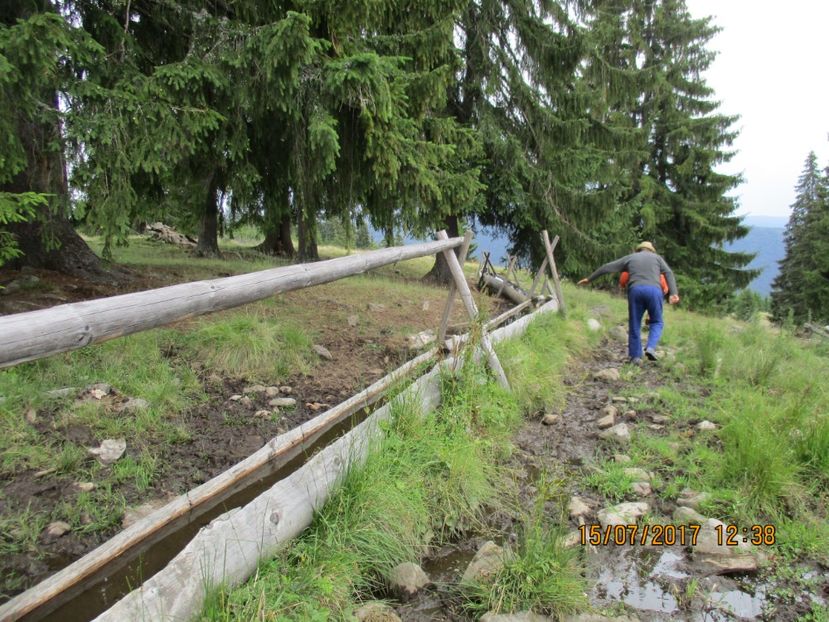  - Poze noi 2018 Tapul Petre la monta plante medicinale peisaje frumoase