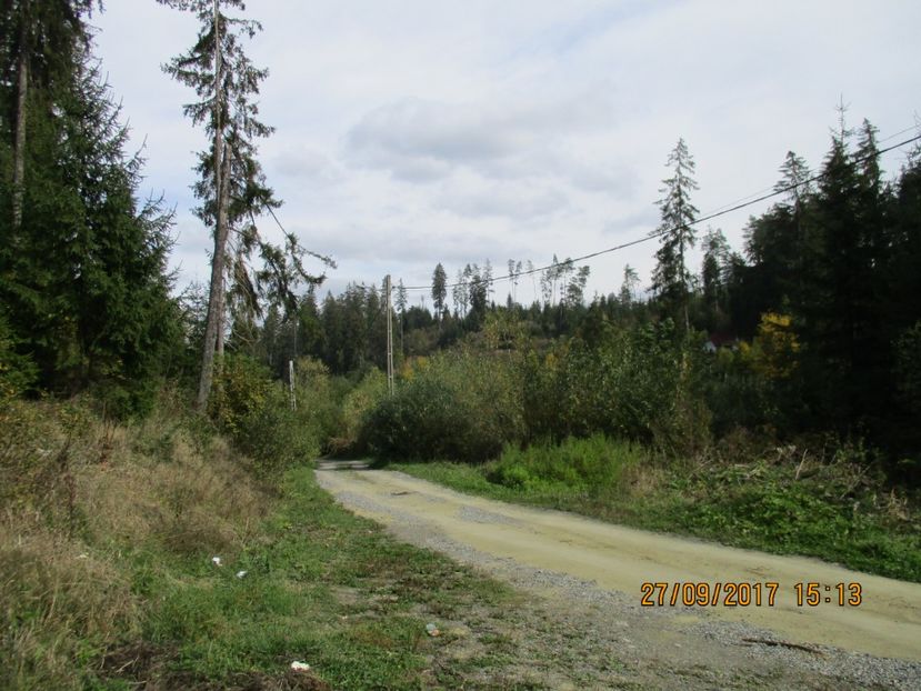  - Poze noi 2018 Tapul Petre la monta plante medicinale peisaje frumoase