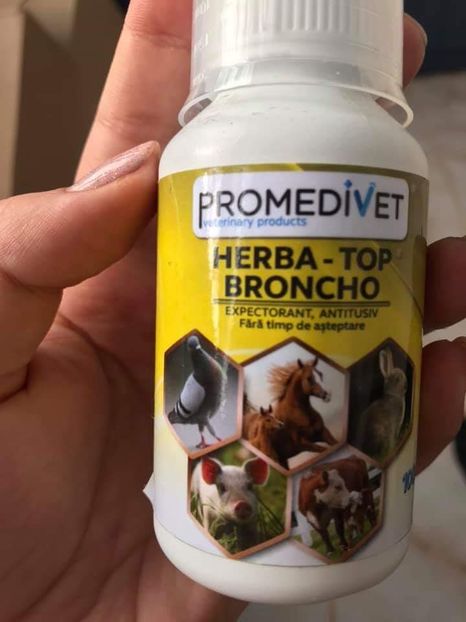 Pentru probleme respiratorii - MEDICAMENTE IEPURI