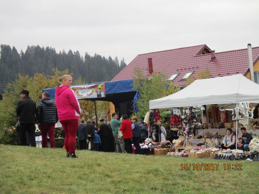  - EXPOZITIA CAPRE OI SARMAS HARGHITA 2017 POZE FRUMOASE