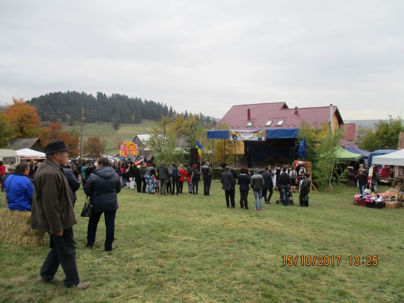  - EXPOZITIA CAPRE OI SARMAS HARGHITA 2017 POZE FRUMOASE