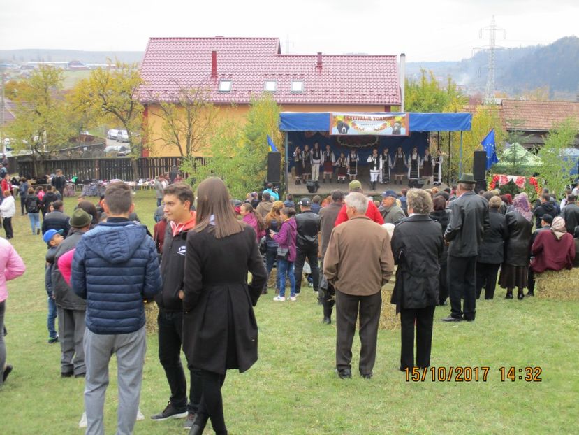  - EXPOZITIA CAPRE OI SARMAS HARGHITA 2017 POZE FRUMOASE