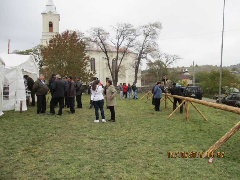  - EXPOZITIA CAPRE OI SARMAS HARGHITA 2017 POZE FRUMOASE