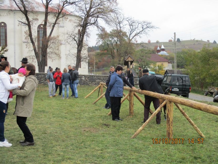  - EXPOZITIA CAPRE OI SARMAS HARGHITA 2017 POZE FRUMOASE