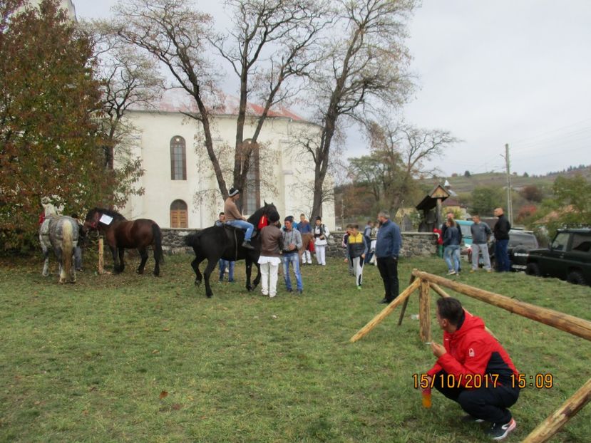  - EXPOZITIA CAPRE OI SARMAS HARGHITA 2017 POZE FRUMOASE