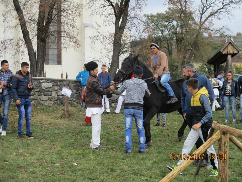  - EXPOZITIA CAPRE OI SARMAS HARGHITA 2017 POZE FRUMOASE