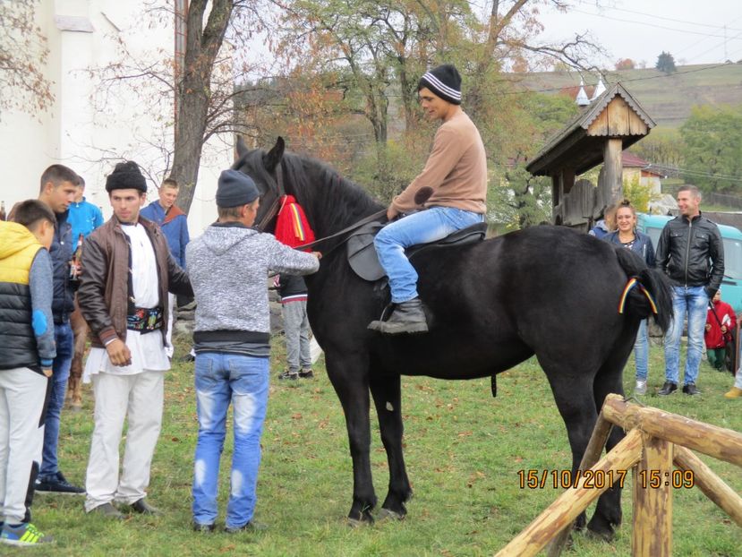  - EXPOZITIA CAPRE OI SARMAS HARGHITA 2017 POZE FRUMOASE