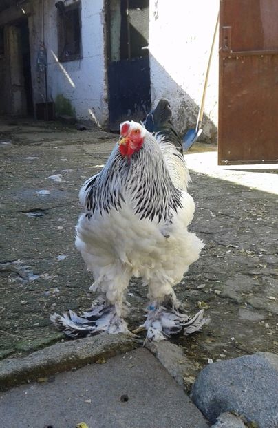 20190219_132841-1 - Pui 2018