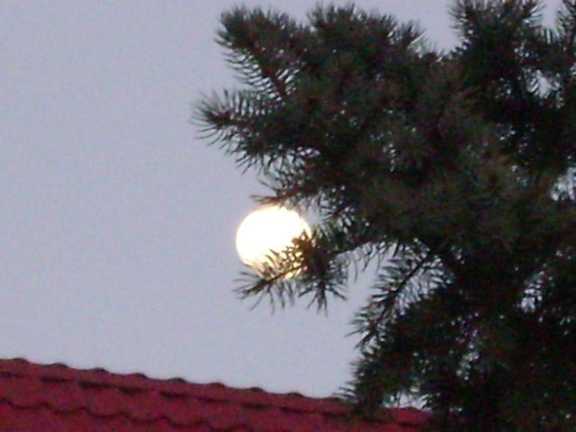 Luna in crestere in Leu - Luna - Soarele si norii - 1
