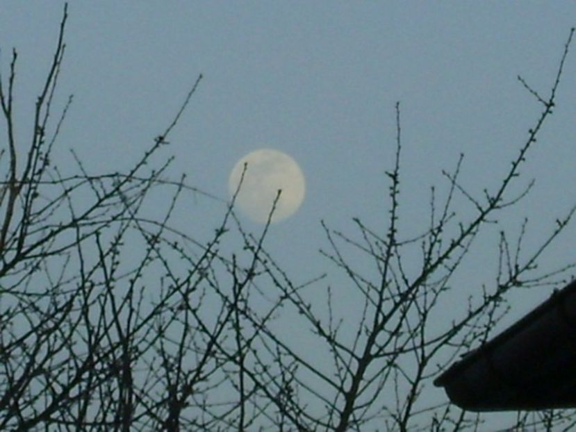 Luna in crestere in Leu - Luna - Soarele si norii - 1
