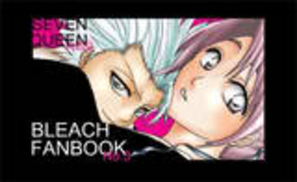 th_HitsugayaxHinamori383[1] - Bleach