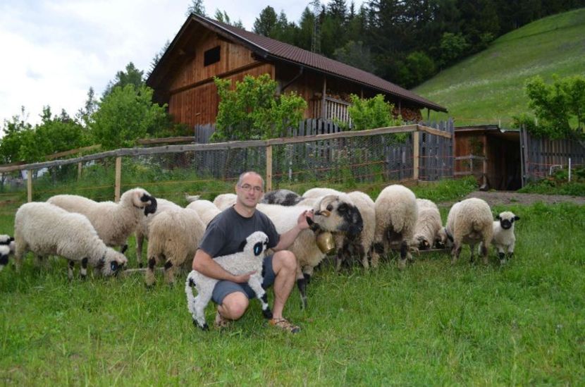 Bot-Negru cu stapanul lor - Rase de capre vaci oi poze noi 2017 2018