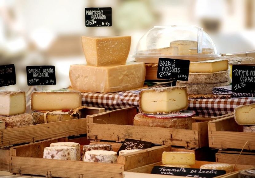 Branzeturi de oaie si capra - Rase de capre vaci oi poze noi 2017 2018