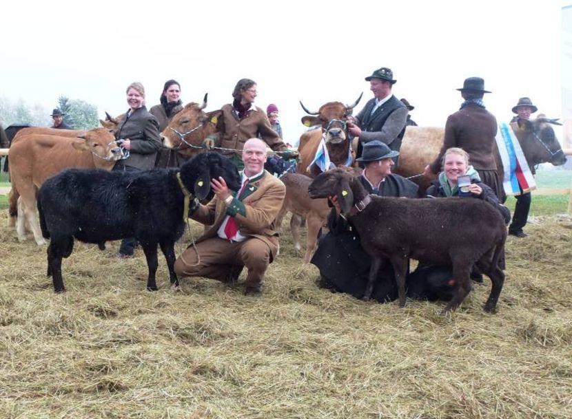 Oi si vacute frumoase-732 - Rase de capre vaci oi poze noi 2017 2018