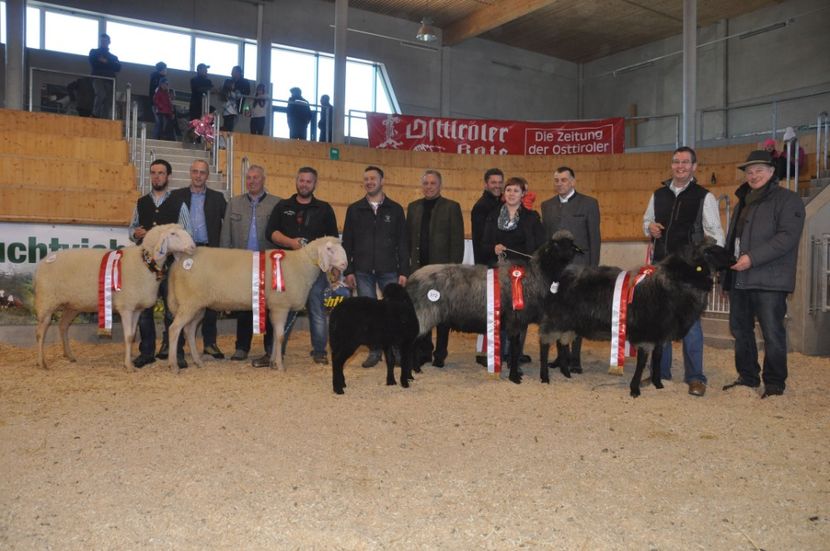 Oitele cu premii ca lumea,,, - Rase de capre vaci oi poze noi 2017 2018