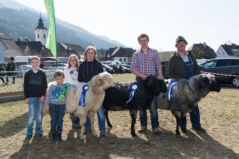 Si copii le place - Rase de capre vaci oi poze noi 2017 2018