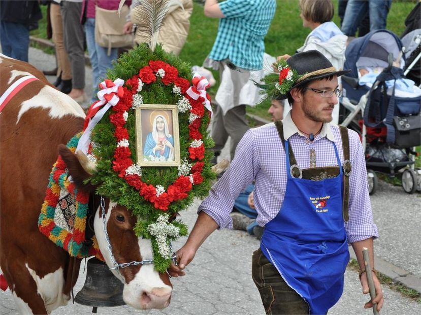 si noi santem la fel ca si ei,,,,exact - Rase de capre vaci oi poze noi 2017 2018