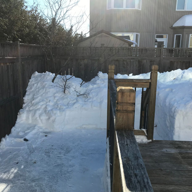  - Jurnalul gradinii 2019