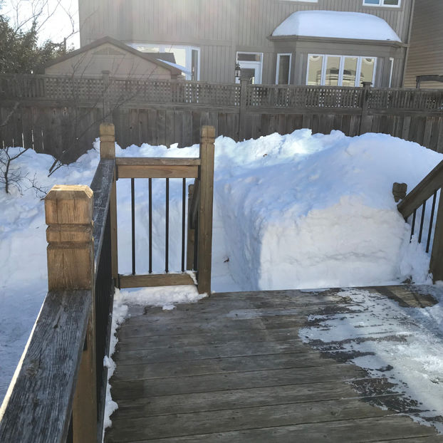  - Jurnalul gradinii 2019