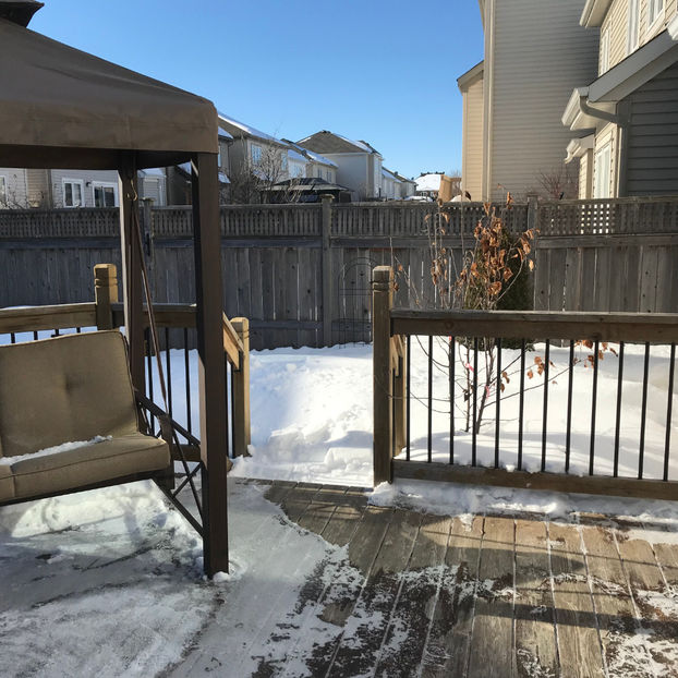  - Jurnalul gradinii 2019