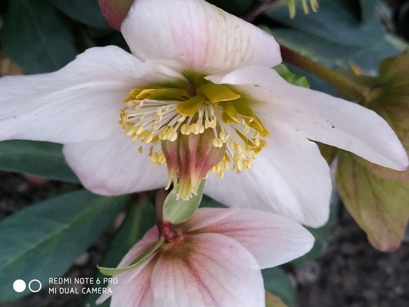  - FEBRUARIE 2019- FEBRUARIE 2020