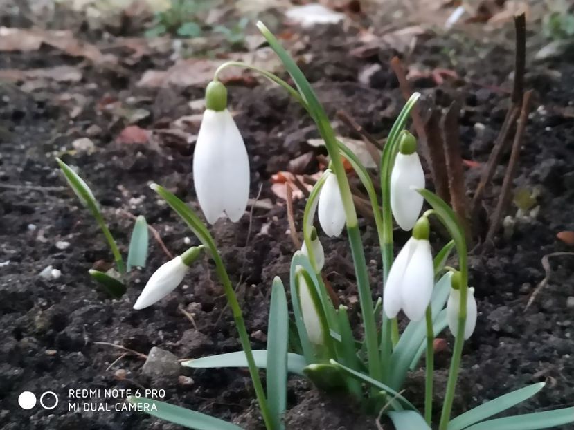  - FEBRUARIE 2019- FEBRUARIE 2020