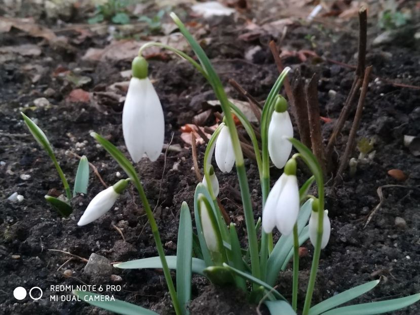  - FEBRUARIE 2019- FEBRUARIE 2020