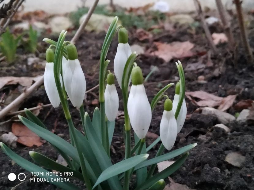  - FEBRUARIE 2019- FEBRUARIE 2020