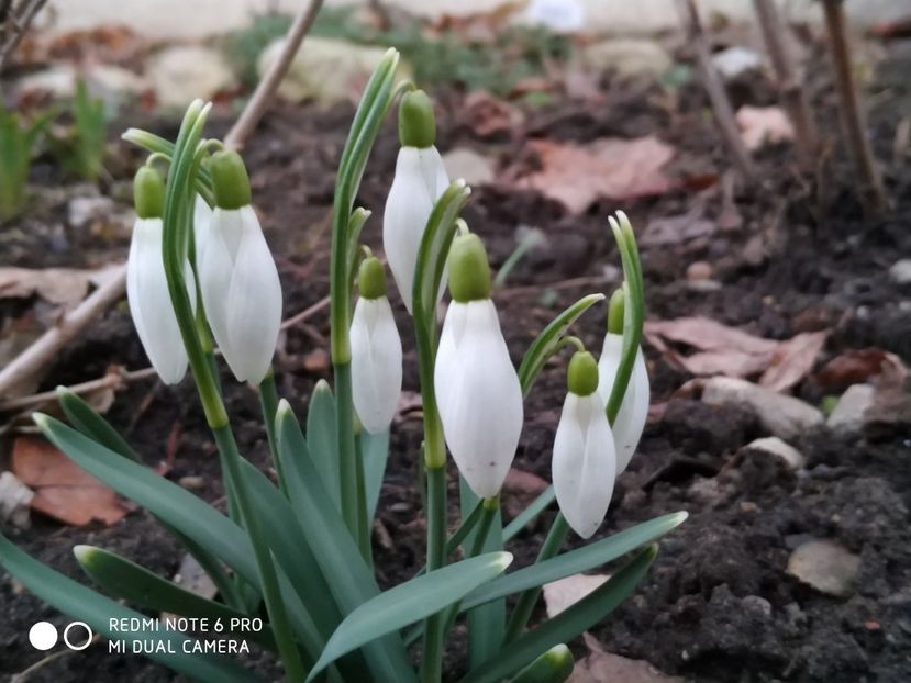  - FEBRUARIE 2019- FEBRUARIE 2020