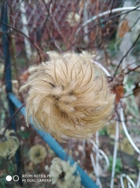  - FEBRUARIE 2019- FEBRUARIE 2020