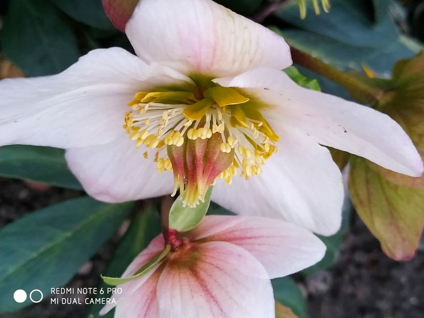  - FEBRUARIE 2019- FEBRUARIE 2020