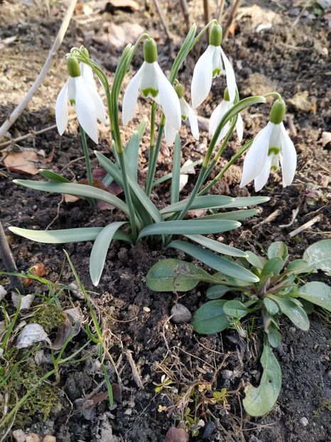  - FEBRUARIE 2019- FEBRUARIE 2020