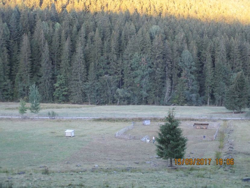  - COBORATUL CU STANA 2017 DIN CALIMANI