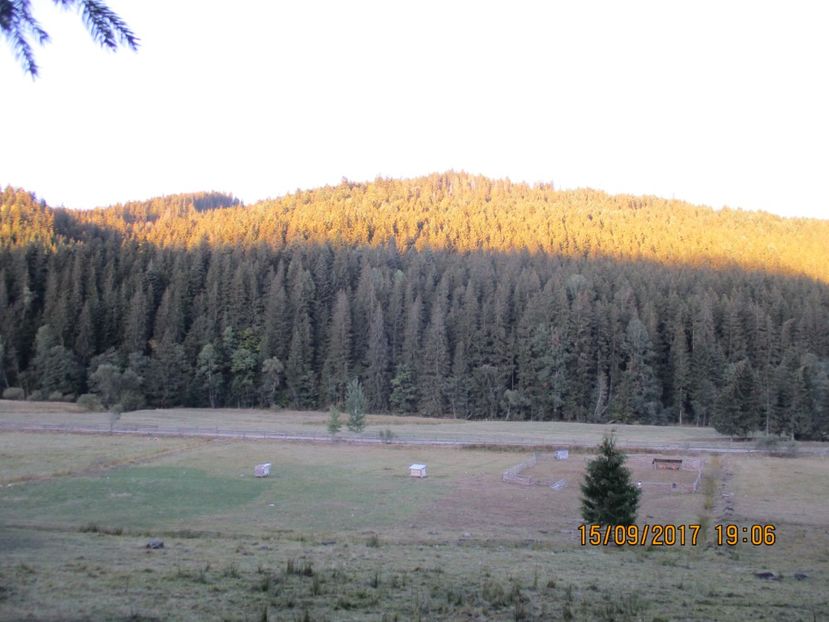  - COBORATUL CU STANA 2017 DIN CALIMANI