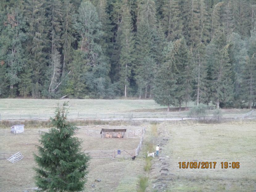  - COBORATUL CU STANA 2017 DIN CALIMANI