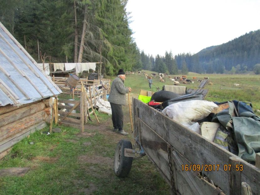  - COBORATUL CU STANA 2017 DIN CALIMANI