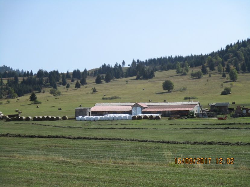  - COBORATUL CU STANA 2017 DIN CALIMANI