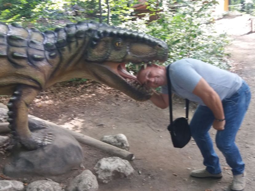  - Dino parc Râșnov