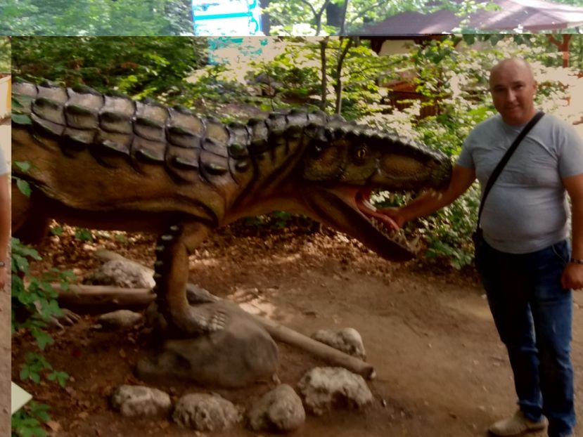  - Dino parc Râșnov