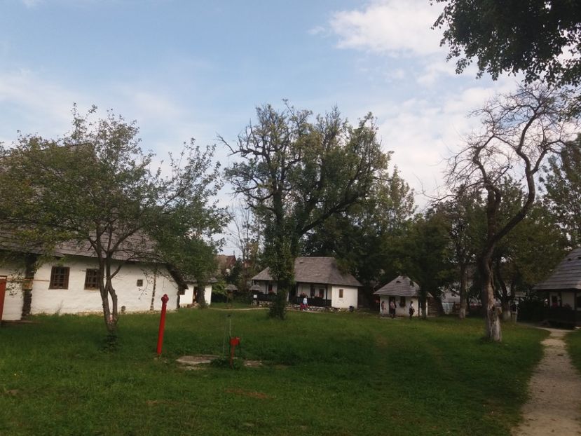  - Muzeul Național Bran