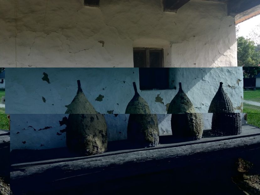  - Muzeul Național Bran