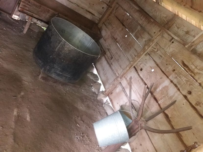  - Muzeul Național Bran