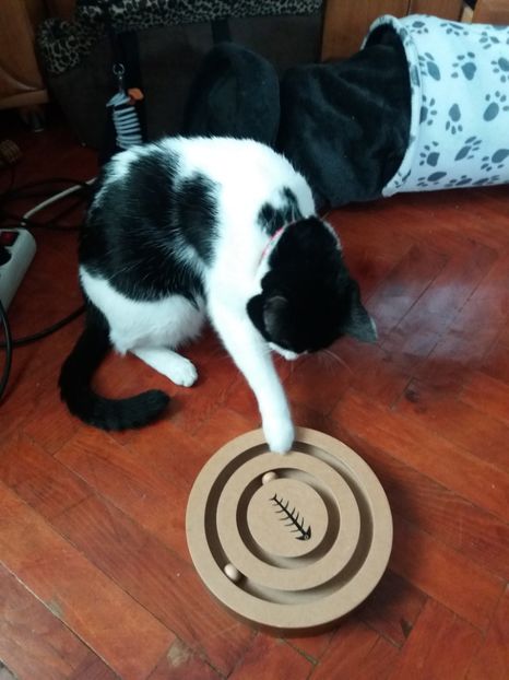  - Duracel februarie 2019