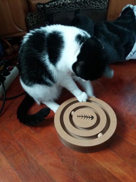  - Duracel februarie 2019