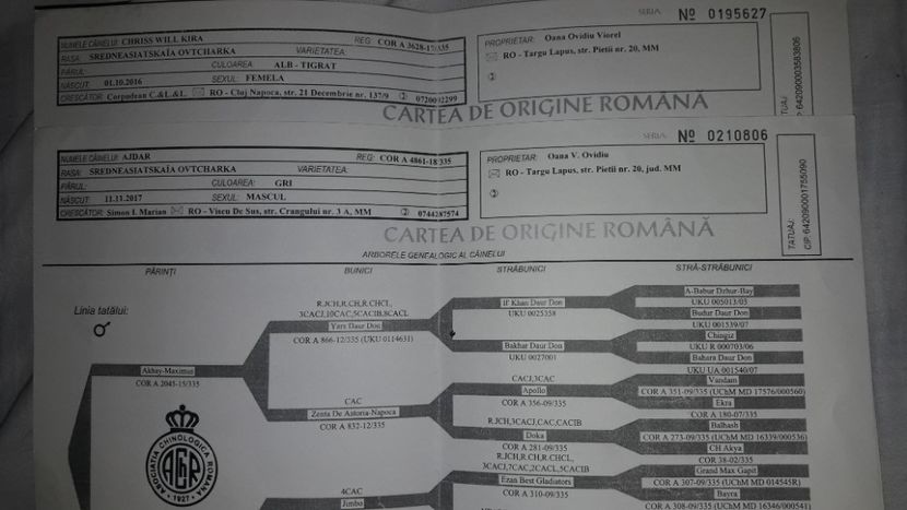  - ASIA - CENTRALĂ