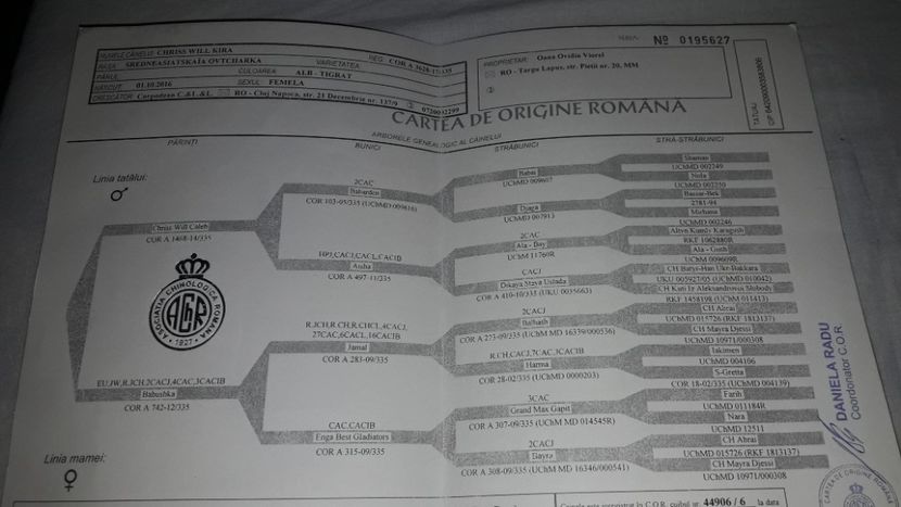  - ASIA - CENTRALĂ